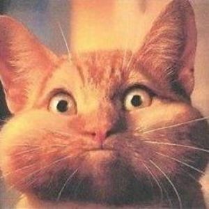 Meet your Posher, Maritza